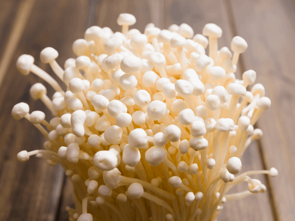 Enoki Mushroom Benefits and Other Useful facts Mushroom Health Guide