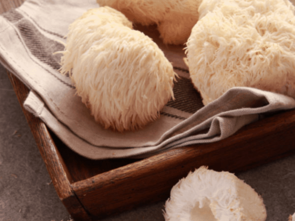 How to Cook Lion's Mane Mushroom and others Mushroom Health Guide